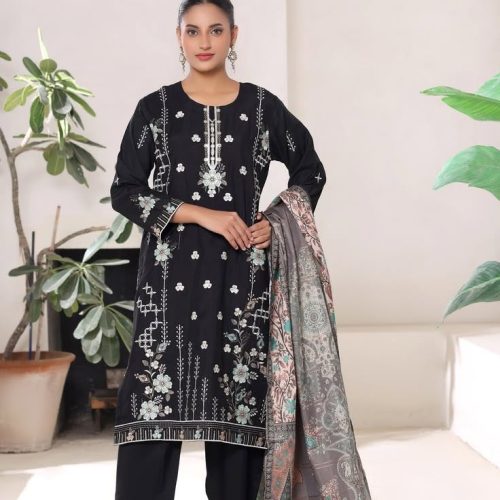 Noir Blossom Embroidered Pakistani Suit